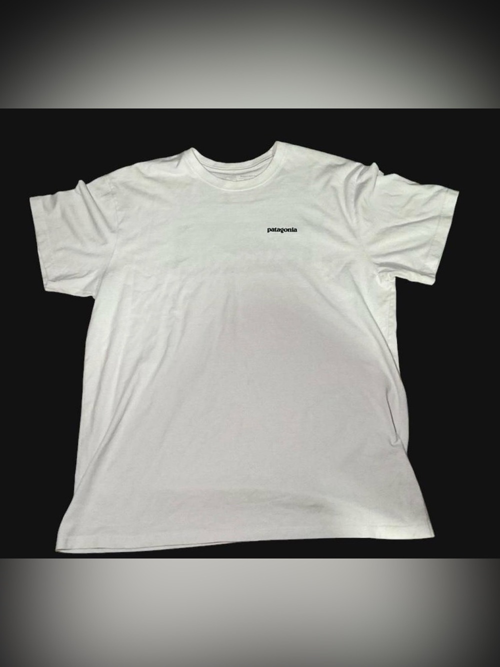 White Patagonia t-shirt size XL